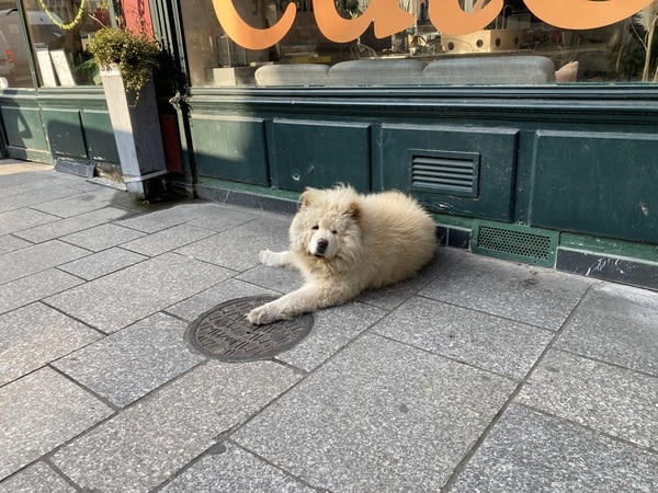 パリの注目スポット！人気セレクトショップMERCI 2号店オープン
