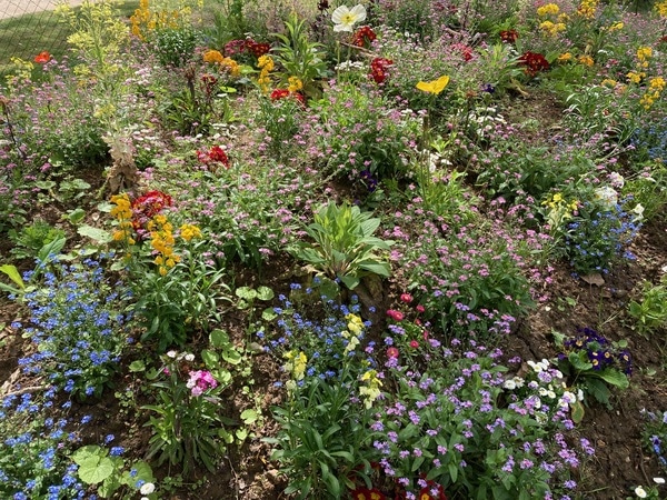 ヴァンセンヌの森「シャレ・デュ・ラック」で湖畔の贅沢ブランチ