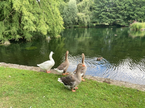 パリから巡るフランスの夏休み 第1弾