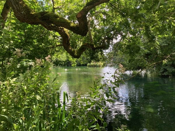 パリから巡るフランスの夏休み 第1弾