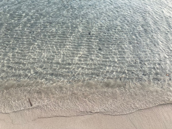 パリから巡る夏休み 第3弾