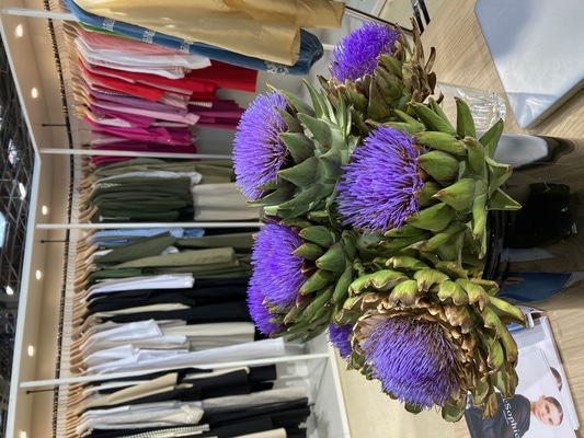 パリの展示会『Who's next』でキャッチ！2026年春夏コレクション