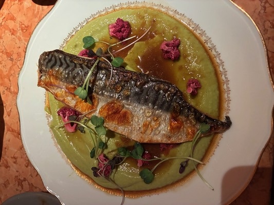 パリの百貨店クリスマス巡り2025（その3）