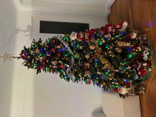 パリの百貨店クリスマス巡り2025（その3）