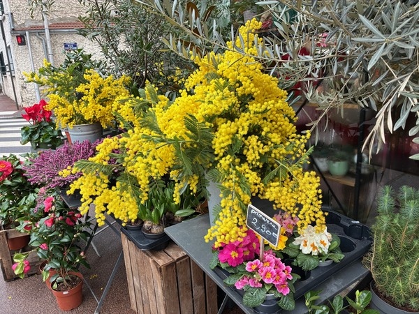 パリ発『an'ge』春夏最新コレクション！行列の絶えない人気店で見つけた絶品スイーツ