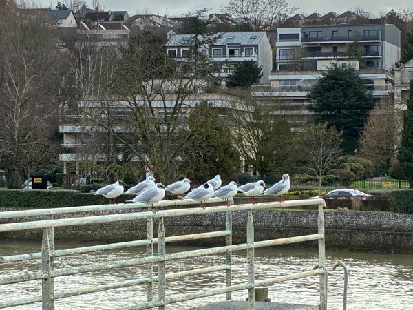 パリ発『an'ge』春夏最新コレクション！行列の絶えない人気店で見つけた絶品スイーツ