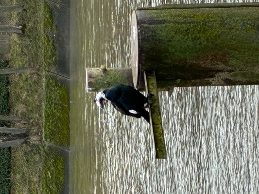 パリ発『an'ge』春夏最新コレクション！行列の絶えない人気店で見つけた絶品スイーツ