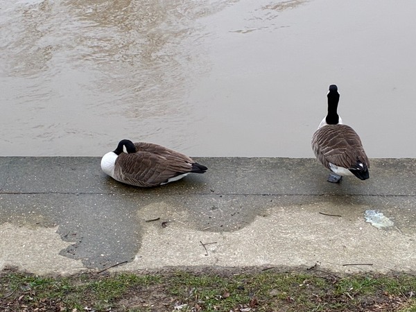 パリ発『an'ge』春夏最新コレクション！行列の絶えない人気店で見つけた絶品スイーツ