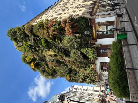 イースターの季節が到来！春の街角で見つけた可愛らしいチョコと注目店『PLAQ』