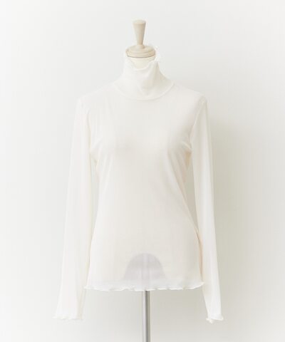 メッシュタートル