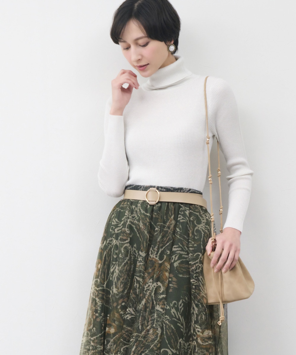 ラメリブタートル