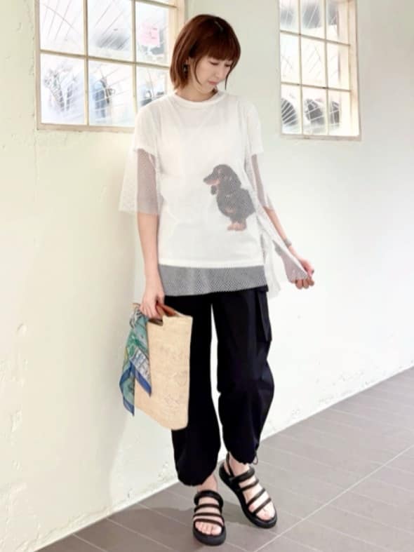 メッシュプルオーバー