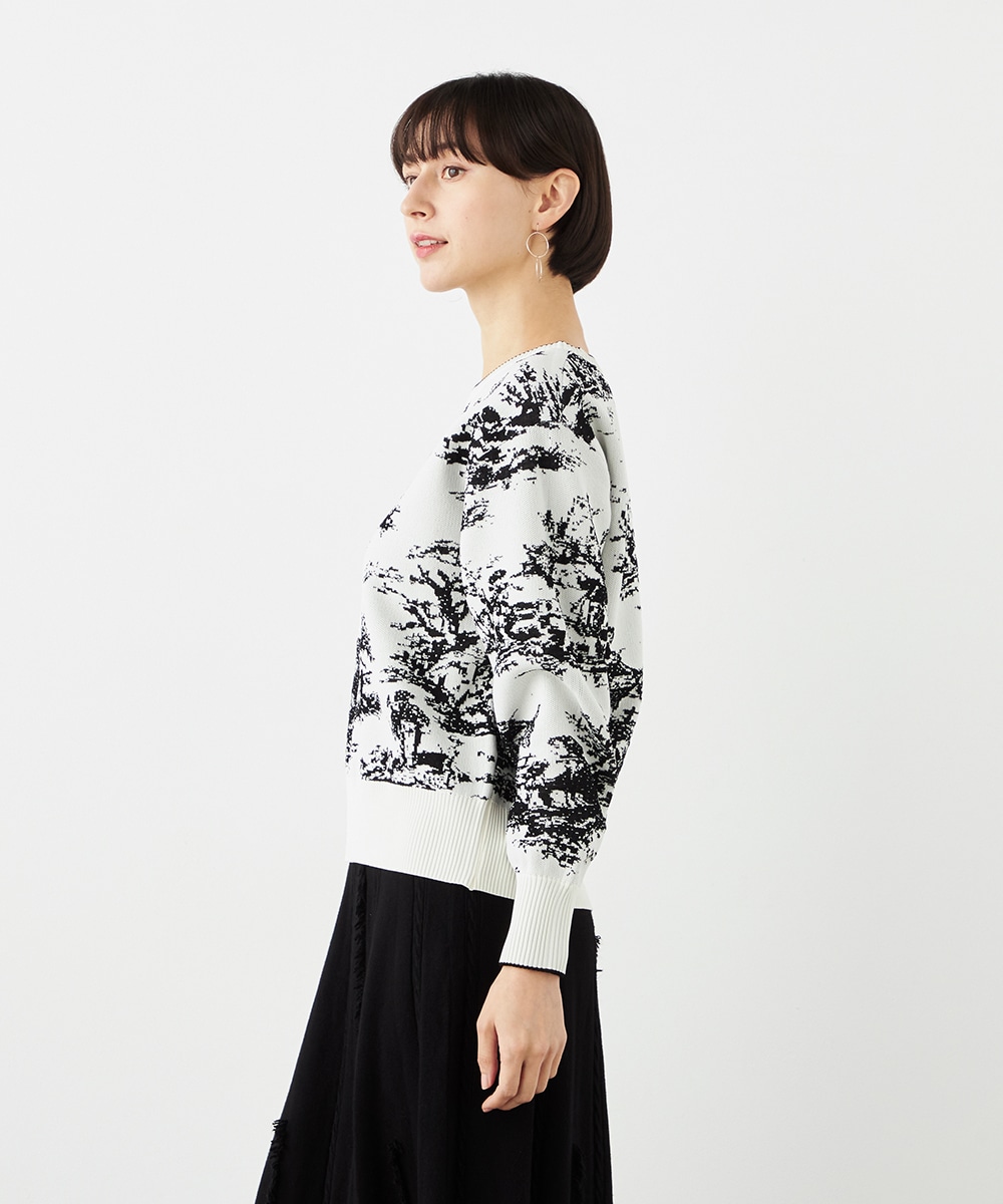 トワルドジュイプルオーバー