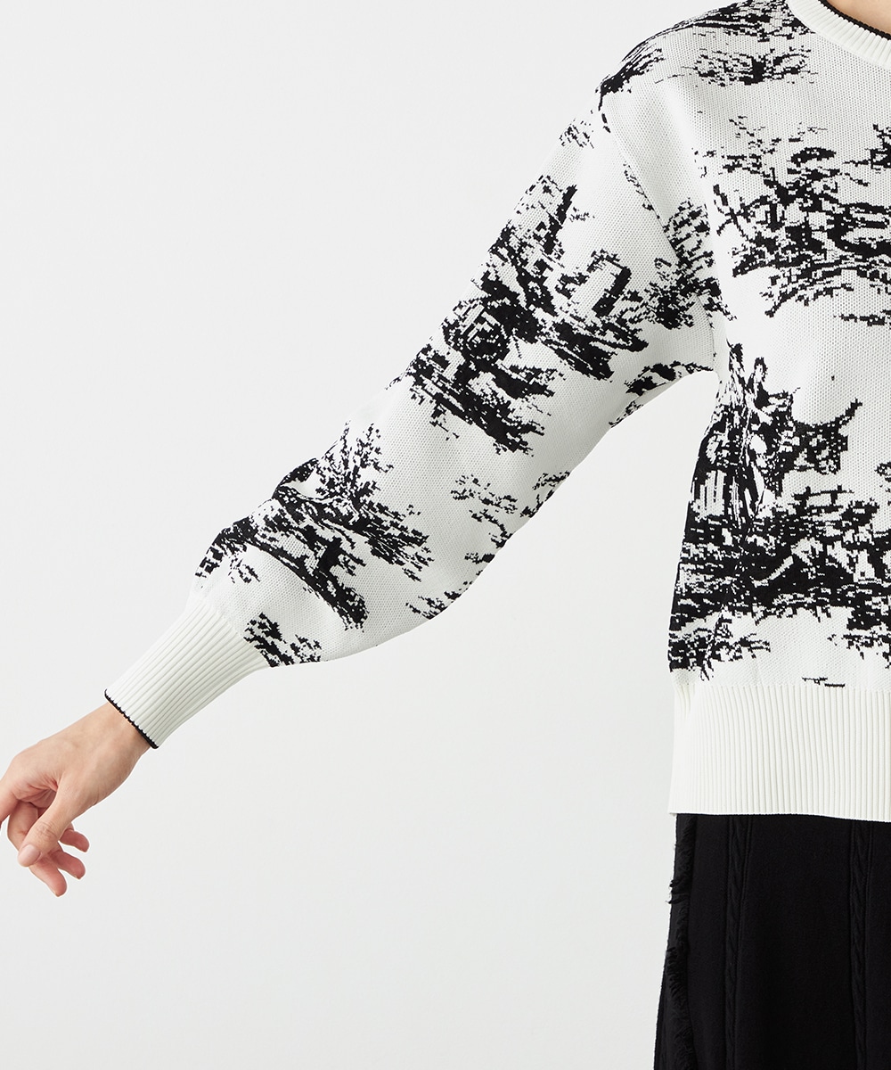 トワルドジュイプルオーバー