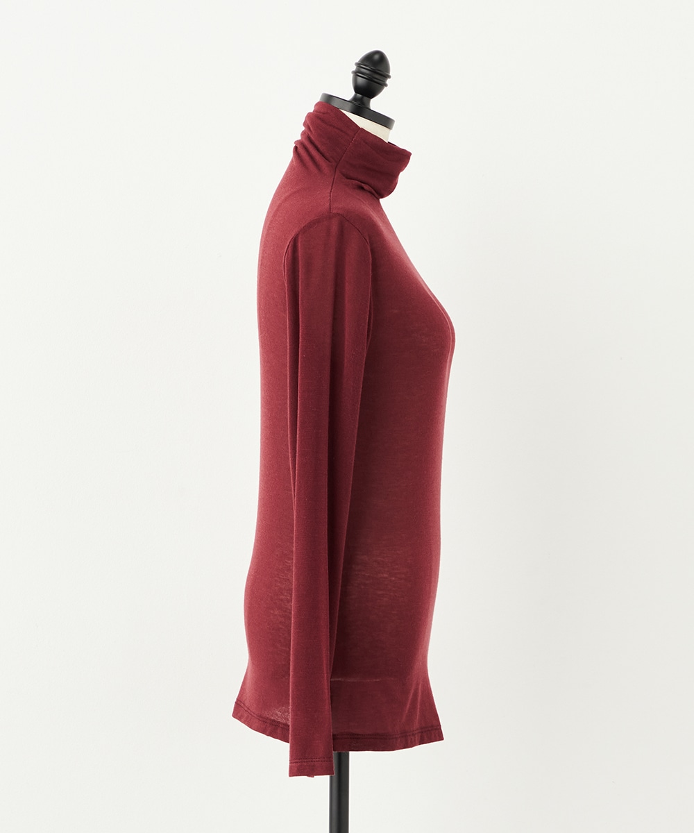 シアータートル