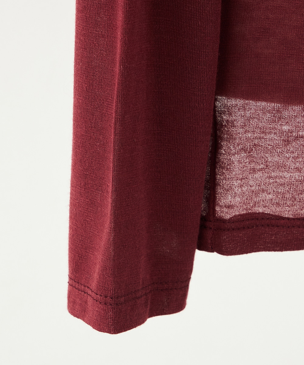 シアータートル