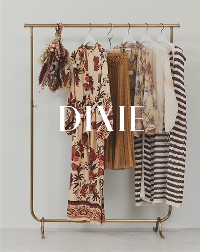 PICK UP NEW BRAND-dixie
